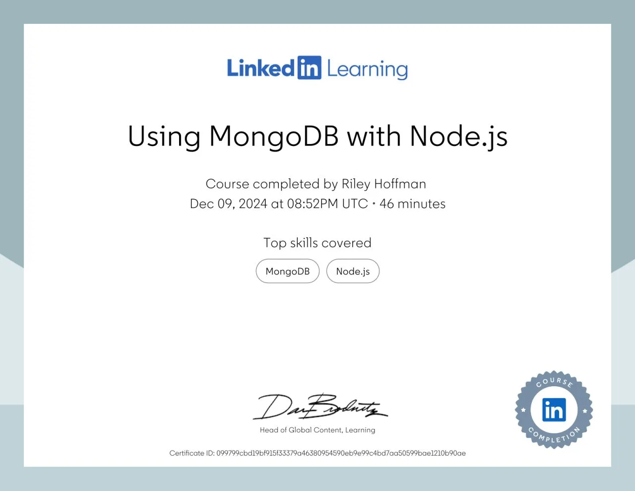 Using MongoDB with Node.js