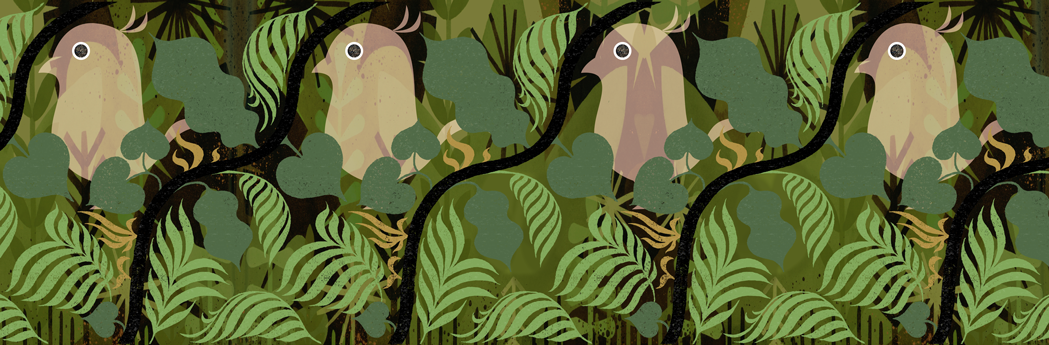 小雉藏身的枝葉之間