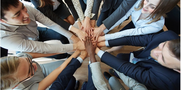 View Our Team