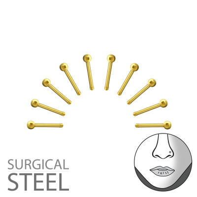 Pack of 10 Gold Surgical Steel 2mm Nose Studs with Ball