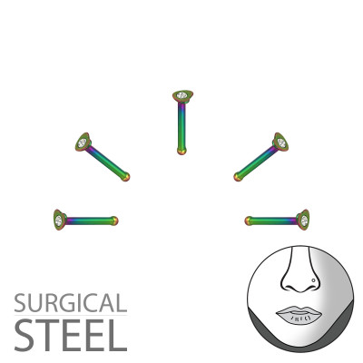 Pack of 5 Rainbow Surgical Steel Heart Nose Studs with Ball and Crystal