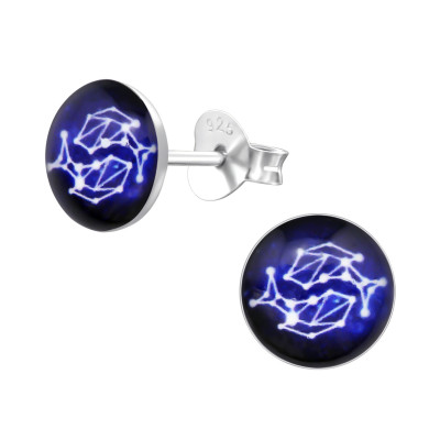 Children's Silver Pisces Zodiac Sign Ear Studs