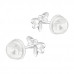 Premium Children's Silver Dragonfly Ear Studs with Epoxy