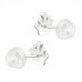 Premium Children's Silver Crown Ear Studs Crystal with Epoxy