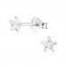 Silver Star 4mm Ear Studs with Cubic Zirconia