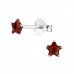 Silver Star 4mm Ear Studs with Cubic Zirconia