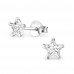 Silver Star 5mm Ear Studs with Cubic Zirconia