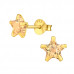 Silver Star 6mm Basic Ear Studs with Cubic Zirconia