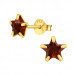 Silver Star 6mm Basic Ear Studs with Cubic Zirconia