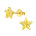 Silver Star 6mm Basic Ear Studs with Cubic Zirconia