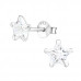 Silver Star 6mm Ear Studs with Cubic Zirconia