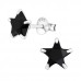 Silver Star 7mm Ear Studs with Cubic Zirconia