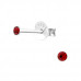 Silver 2mm Round Ear Studs with Crystal