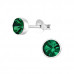 Silver Round 5mm Ear Studs with Crystal