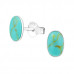 Silver Oval Ear Studs with Imitation Stone