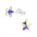 Silver Star 6mm Ear Studs with Crystal