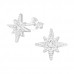 Silver Northern Stat Ear Studs with Cubic Zirconia
