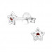 Silver Birthstone Star Ear Studs with Cubic Zirconia