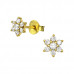 Silver Flower Ear Studs with Cubic Zirconia