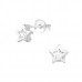 Silver Star Ear Studs with Cubic Zirconia