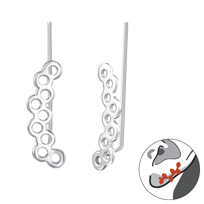 Silver Circles and Ear Pin