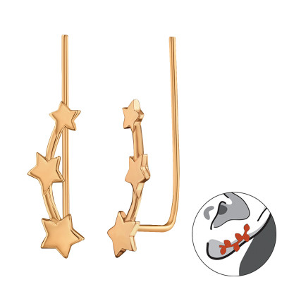 Silver Stars Ear Pin