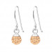 Silver Crystal Ball Earrings with Crystal