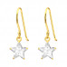 Silver Star Earrings with Cubic Zirconia