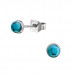 High Polish Surgical Steel Round 3mm Ear Studs with Semi Precious