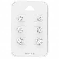 Dozen Stainless Steel LV Earrings Sets- Order Wholesale