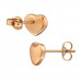 Heart Stainless Steel Ear Studs