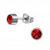 Round Stainless Steel Ear Studs with Crystal