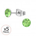 High Polish Surgical Steel 5mm Round X5 Ear Studs with Crystal