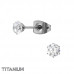 Titanium 4mm Round Ear Studs with Cubic Zirconia