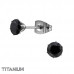 Titanium 5mm Round Ear Studs with Cubic Zirconia