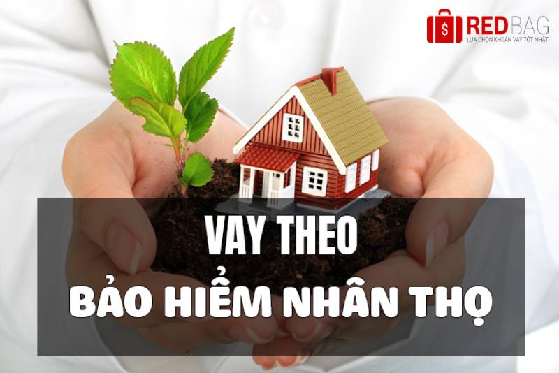 vay-tien-theo-bao-hiem-nhan-tho-redbag-005