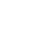 Shimmerscale