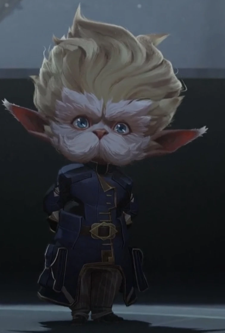 Heimerdinger