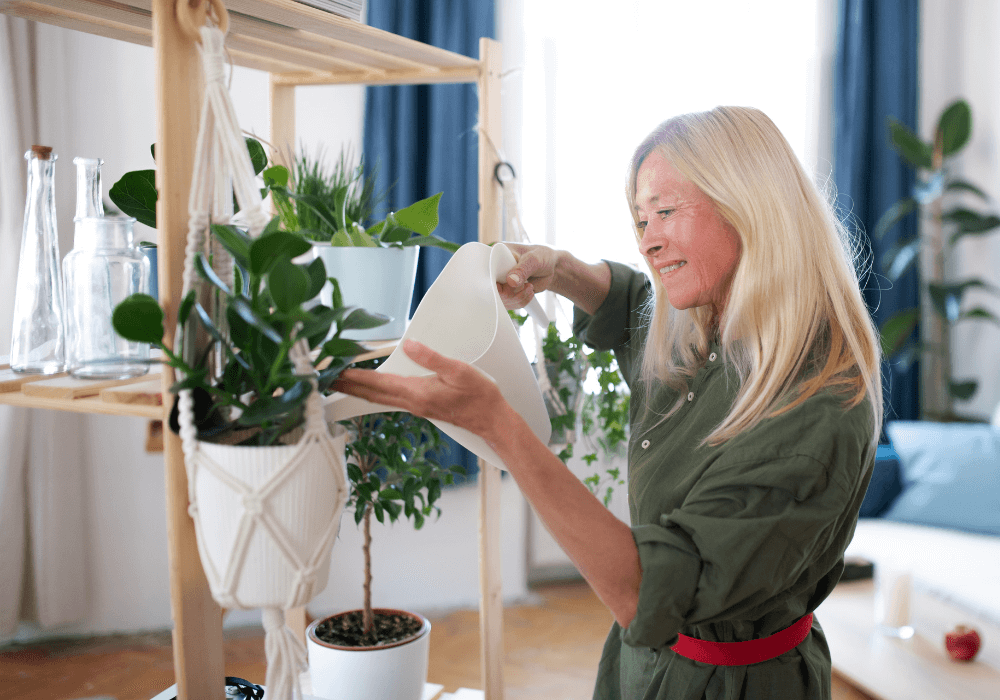 How Indoor Gardens Help Seniors 4 Best plants for seniors | Rising Star Properties