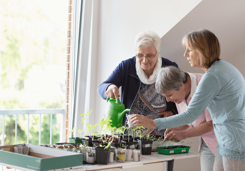 How Indoor Gardens Help Seniors | Rising Star Properties
