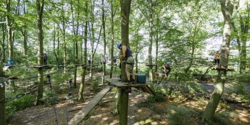 Fun forest klimpark avontuurlijk dagje uit