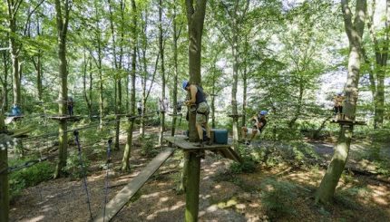 Fun forest klimpark avontuurlijk dagje uit