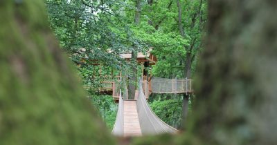 Skanes Djurpark Uitzicht Boomhut