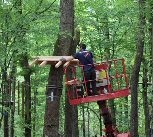 Klimbos onderhoud Van Riswick