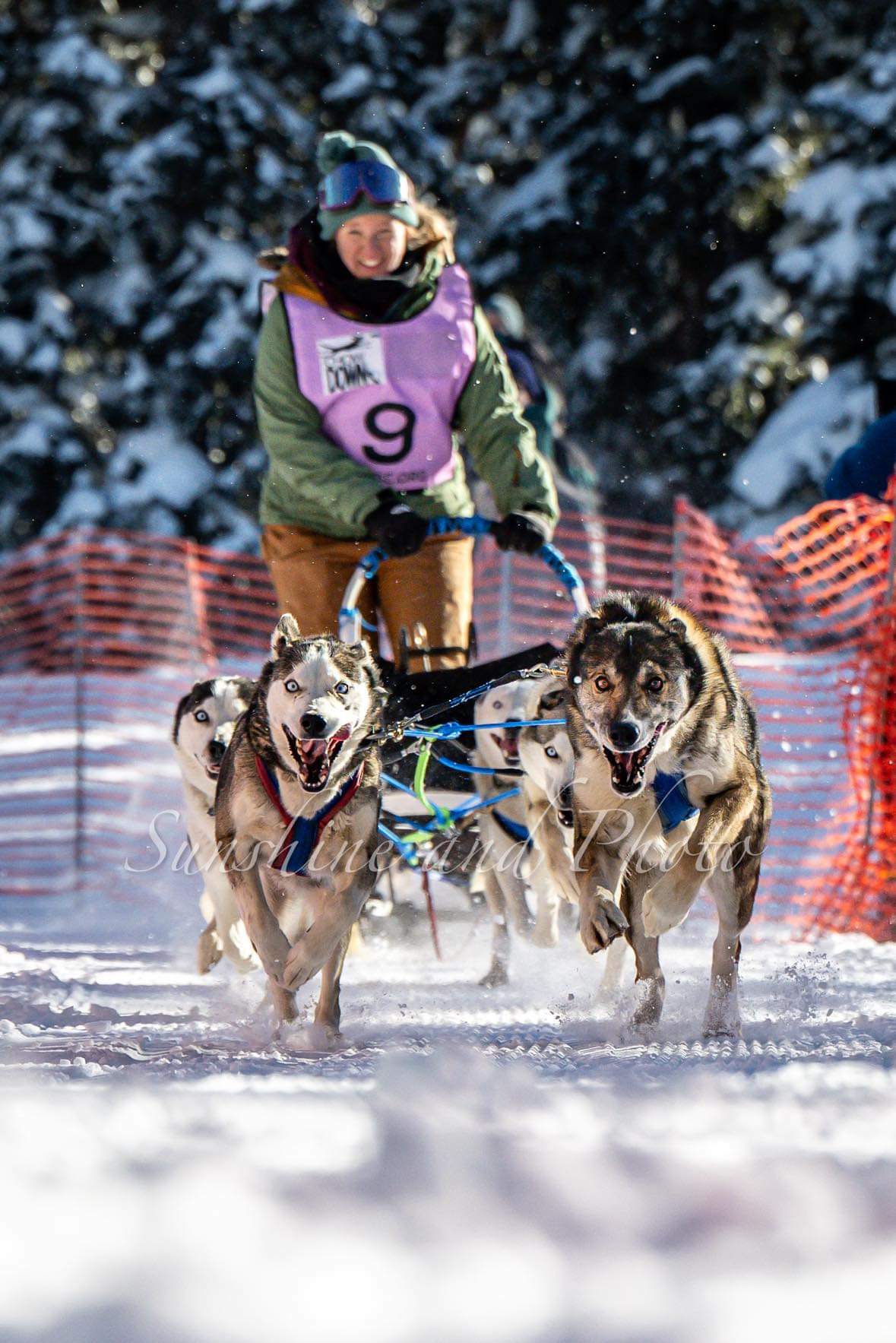 Camp Hale Veterans Memorial Sled Dog Race