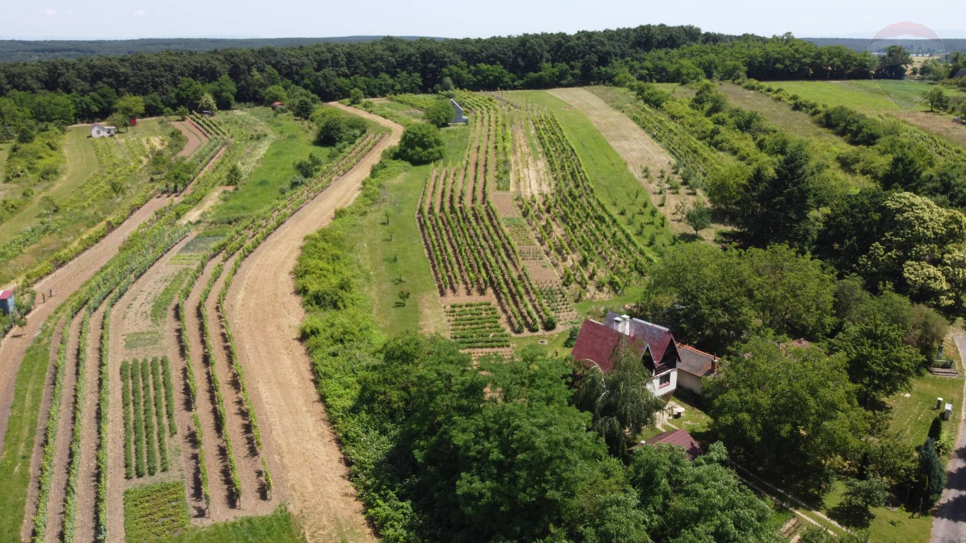 Parcely v extraviláne obce Melek – vinice pri Vrábľoch