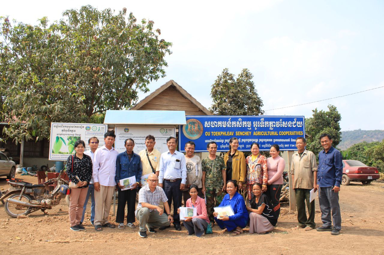 មន្ទីរកសិកម្មខេត្តប៉ៃលិនចុះបណ្ដុះបណ្ដាលបច្ចេកទេសដាំដុះដំណាំស្វាយចន្ទីកែវរមៀតដល់ប្រជាកសិករ