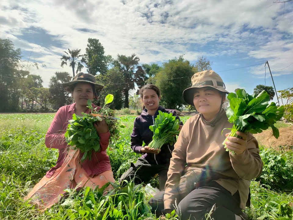 បទយកការណ៍៖ជឿនគឹមស៊ីបស្ត្រីគំរូ ក្លាយជាប្រធានសហគមន៍កសិកម្ម