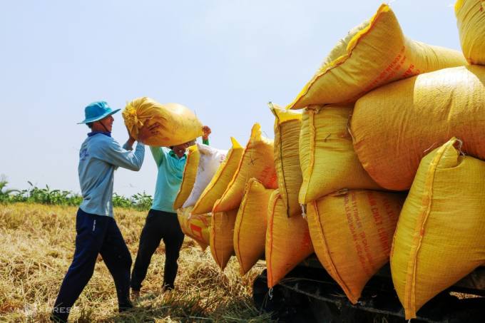 វៀតណាមរកចំណូលបាន ១,៤៣ ពាន់លានដុល្លារពីការនាំចេញអង្ករក្នុងត្រីមាសទី ១