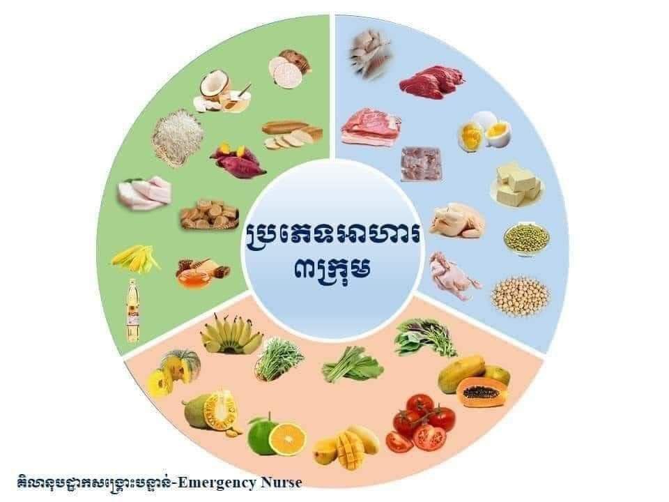 បទយកការណ៍ស្តីពី ៖ មីក្រូសារជាតិពិតជាសំខាន់សម្រាប់សុខភាពមាតា និងទារក